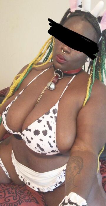 i just have to say one thing. moo!