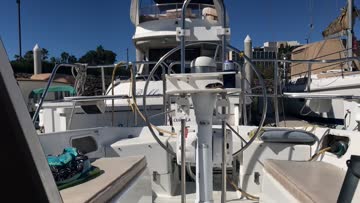 just waiting for someone to walk down the dock. [gif]