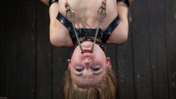 sensi pearl suspended and nipple clamped