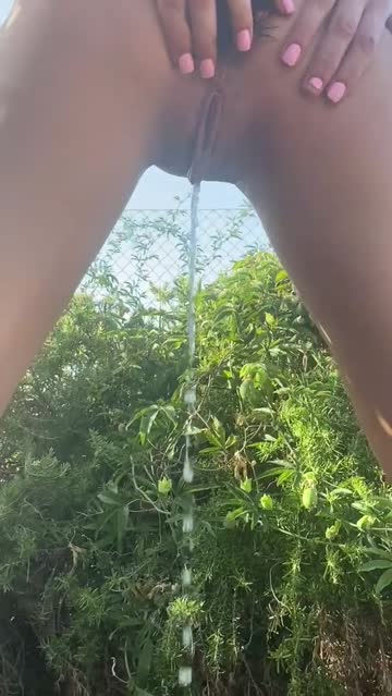 do you like that view ?