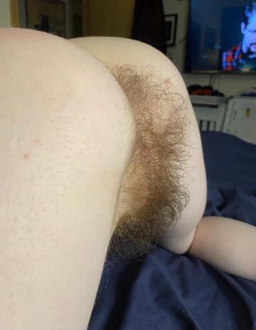 do you like my ass hair?