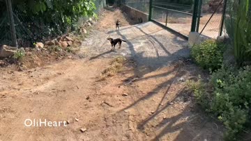 i think i bought the wrong size!