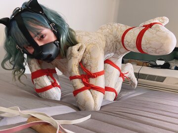 pets must be kept in tight bondage and muzzled when not being used.