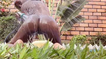 may i drop my juice ass right in your face?