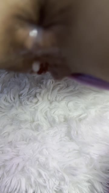 anal creampie ass asshole creampie big ass anal 
