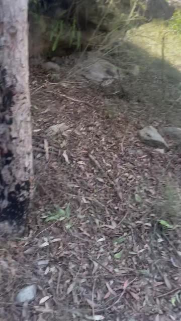 public shaved pussy masturbating 