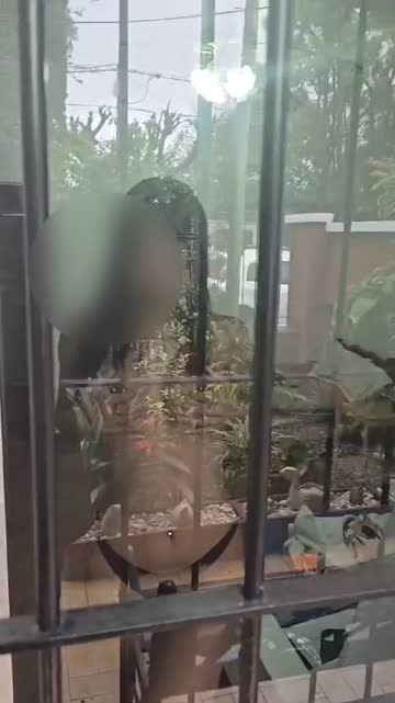 latina amateur public 
