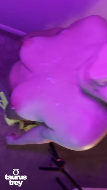 cumshot onlyfans cum tits xxx video