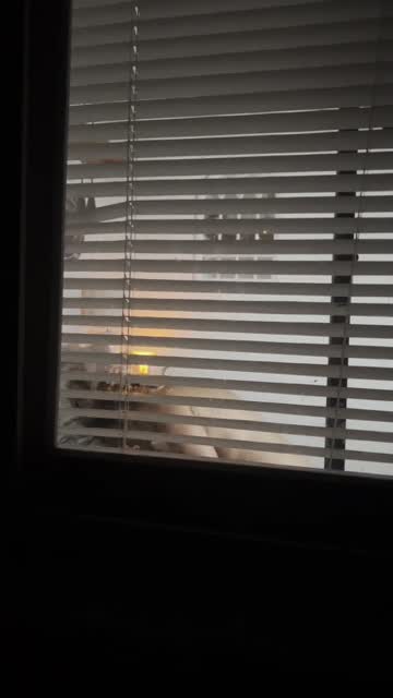 cuckquean hidden camera cub hotwife 19 years old 