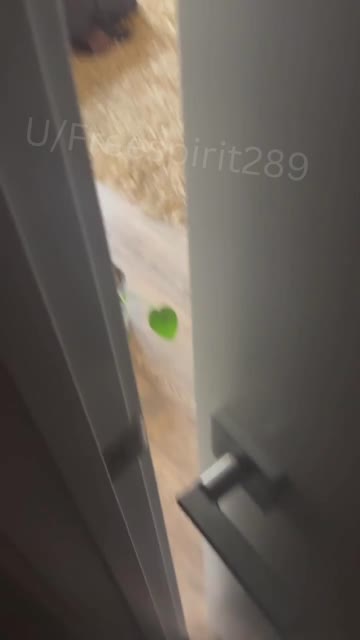 tiktok sex video #145781