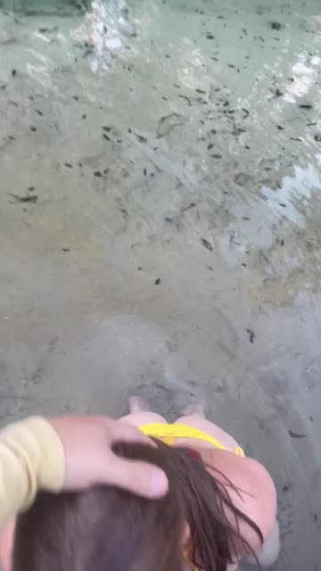 tiktok sex video #204341