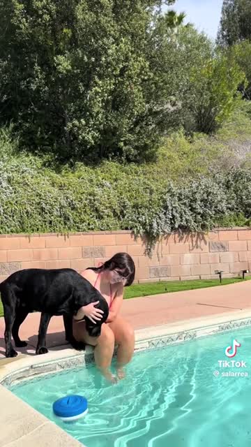tiktok  #75776