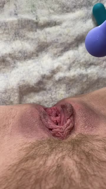 hairy pussy wet pussy porn video