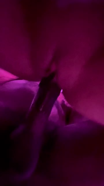 homemade doggystyle amateur hot video
