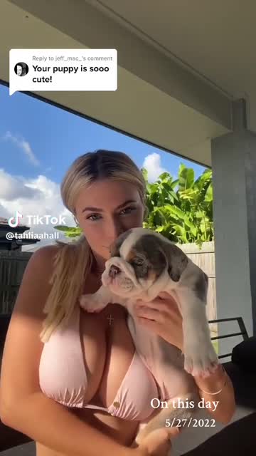 tiktok free porn video #116601