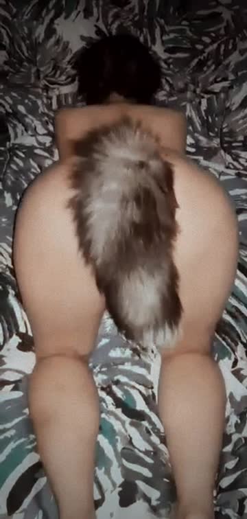 ass tail plug pussy 