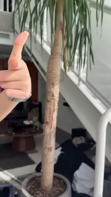 tiktok sex video #189635
