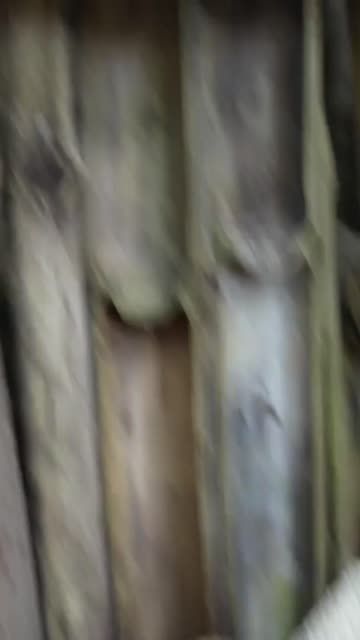 tattooed selfie short hair babe nsfw video