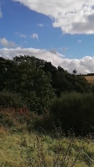 outdoor big tits homemade milf xxx video