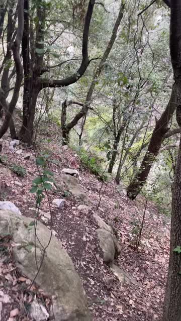 teen public amateur pov sucking real couple blonde 