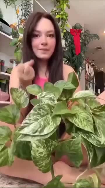 babe amateur nsfw porn video