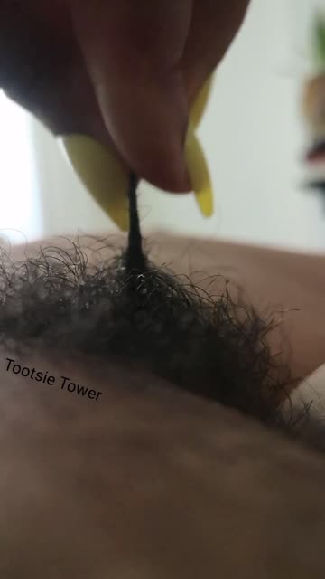 wild hairy pussy milf hairy xxx video