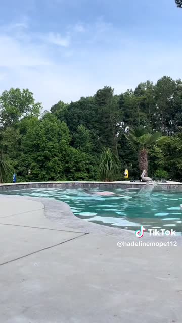 tiktok  #78915