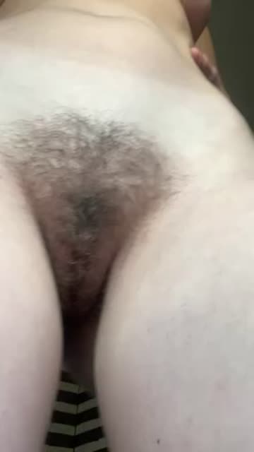 pussy hairy pussy hairy porn video