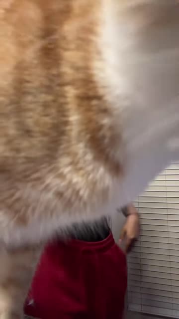 tits amateur big tits r/tiktits tiktok teen 