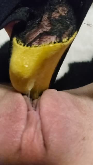 grool wet pussy wet hot video