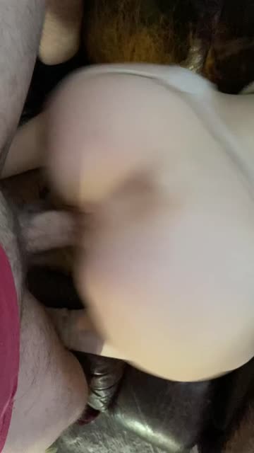 amateur ass cock 