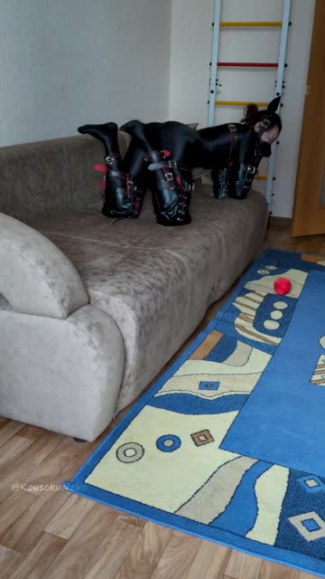 petplay bdsm bondage hot video