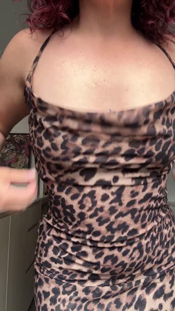 cougar downblouse cougars 