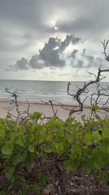 fansly onlyfans big dick eye contact nsfw video