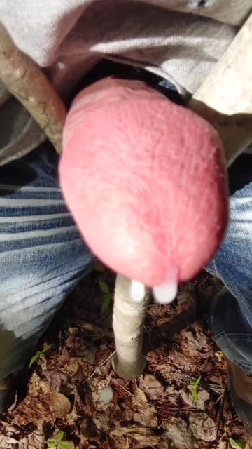 tiktok nsfw video #99382