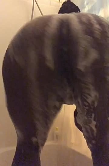 twerking ebony wet shower sex video