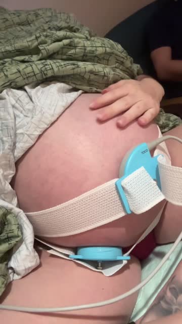 pregnant impregnate breeding 