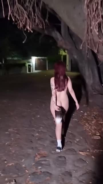 exhibitionist trashy trashy boners r/caughtpublic hot video