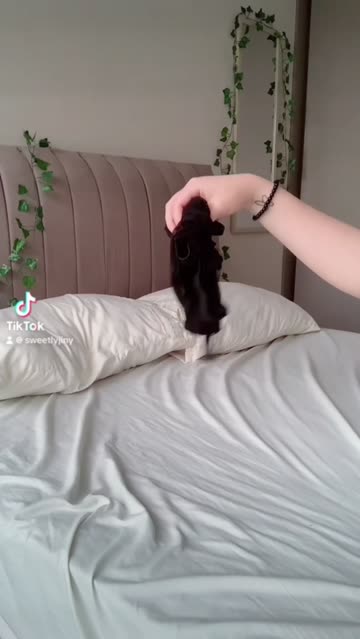 cute tiktok booty amateur tease babe thick hot video