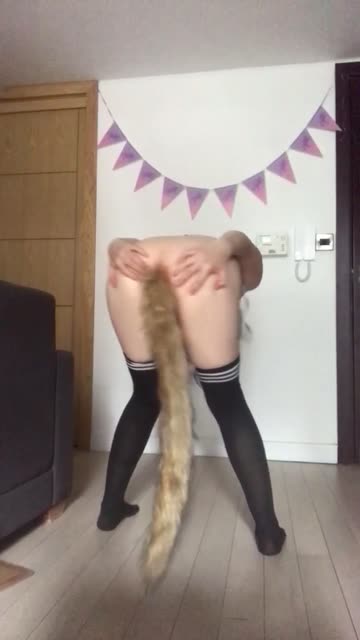 tail plug petplay r/catgirls 