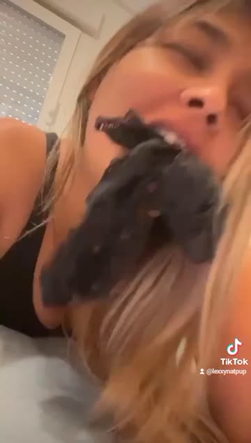 tiktok  #60534
