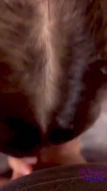 interracial cock worship dirty talk blowjob sloppy pov amateur nsfw video