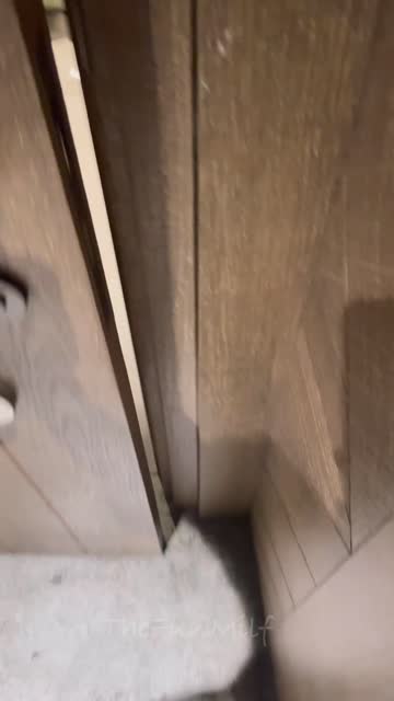 changing room public pregnant sex video
