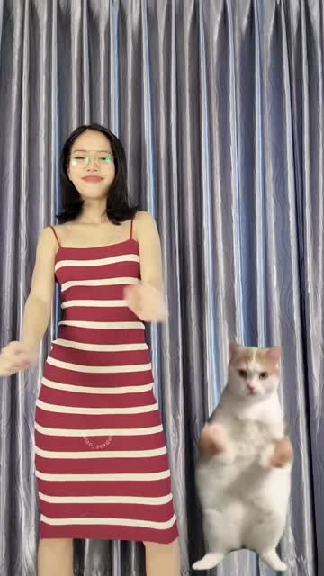 tiktok free porn video #111180