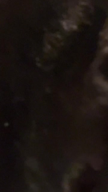 pussy amateur homemade nsfw video