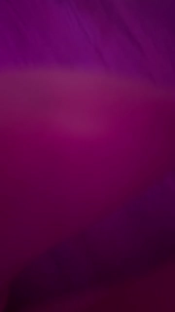 onlyfans feet amateur sex video
