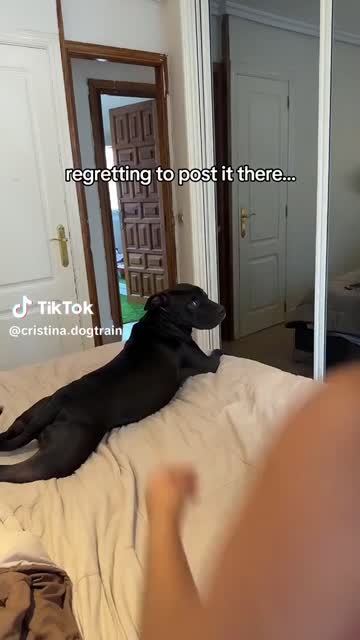 tiktok nsfw video #129972