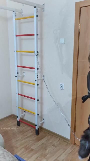 bdsm bondage petplay porn video