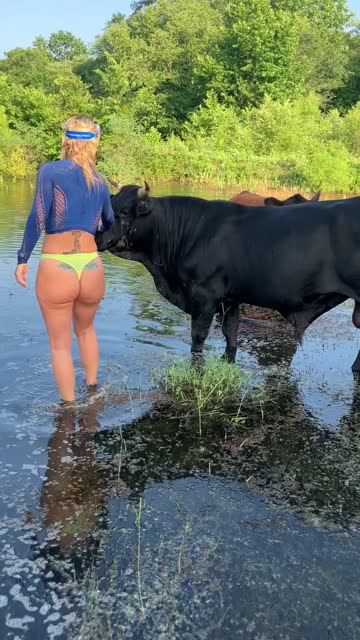 tiktok sex video #98630
