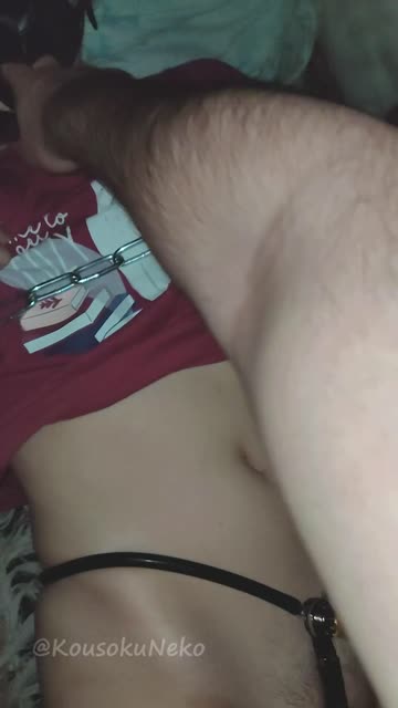 female collared couple xxx video